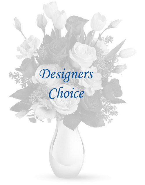 Designers Choice Baby Girl