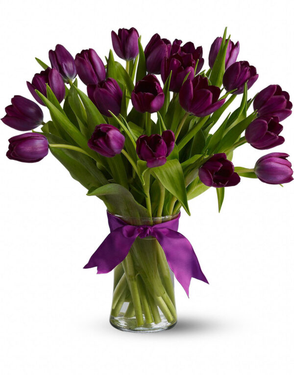 Pretty Purple Tulips